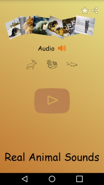 Real Animal Sounds - Preview 9