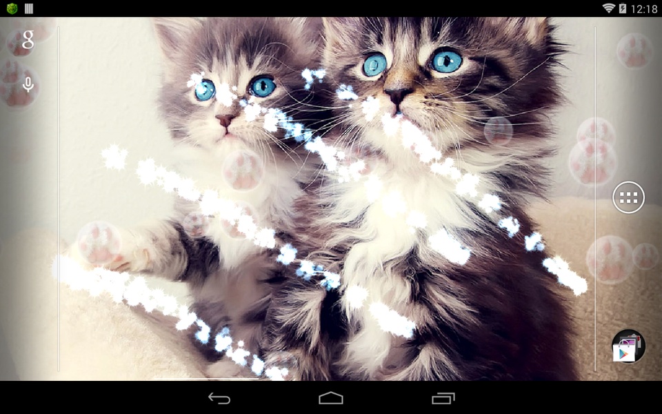 Cute Cat - Preview 1