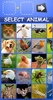 Mix Aminals. Animal morphing screenshot 24