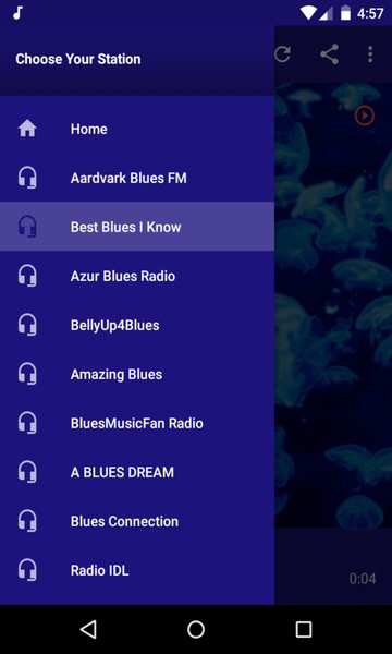 Blues Music Radio Forever - Preview 1