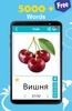 Russian 50000 Words & Pictures screenshot 6