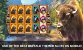 Golden Buffalo Slots screenshot 11