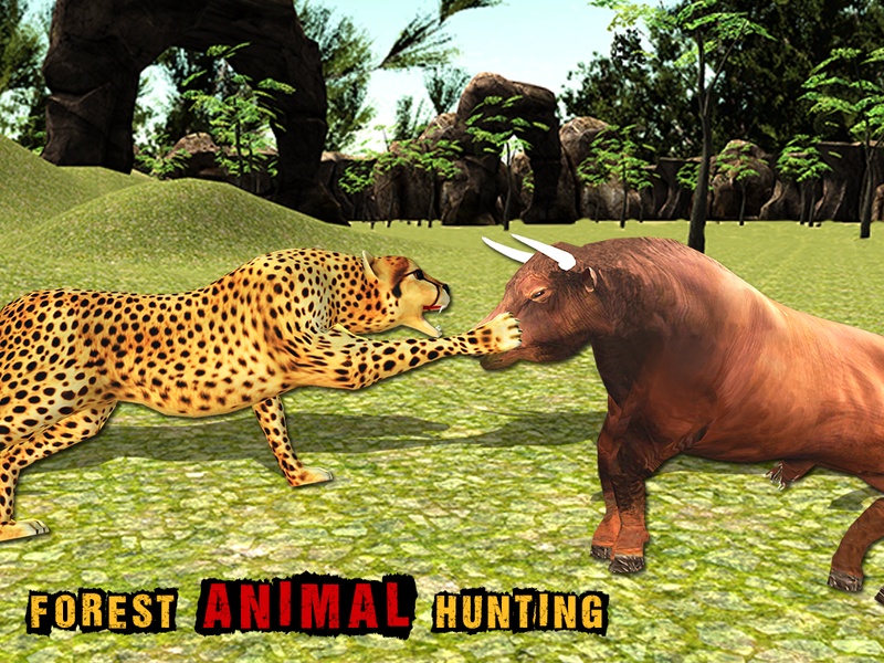 African Cheetah Wildlife - Preview 6