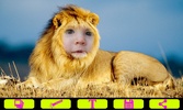 Lion Photo Frames screenshot 2