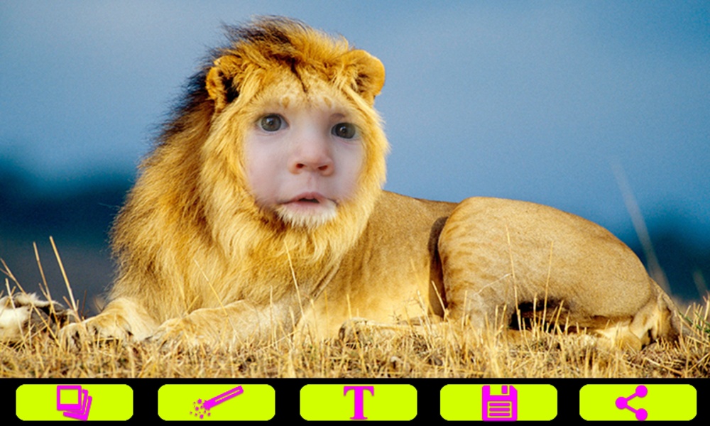 Lion Photo Frames - Preview 2