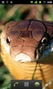 king cobra snake lwp screenshot 1
