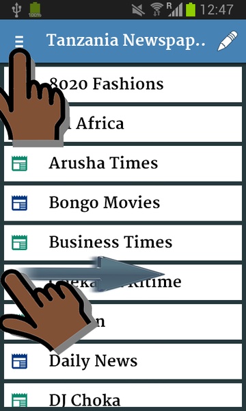 Tanzania Newspapers - Preview 13