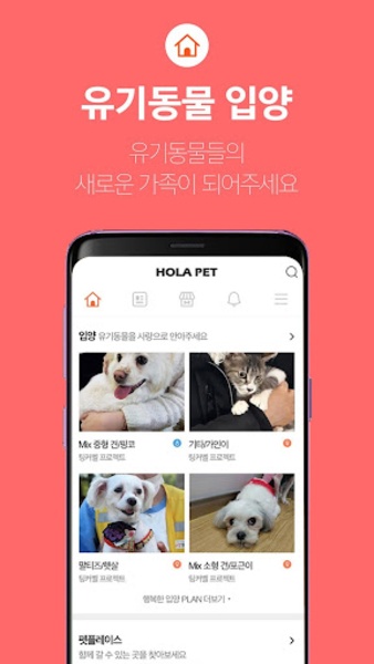 Hola Pet - Preview 5