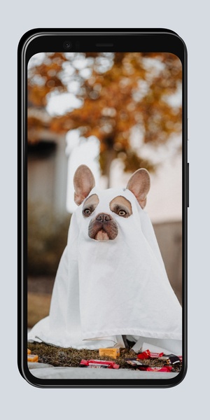 Funny Wallpapers OurcreativeApps - Preview 5
