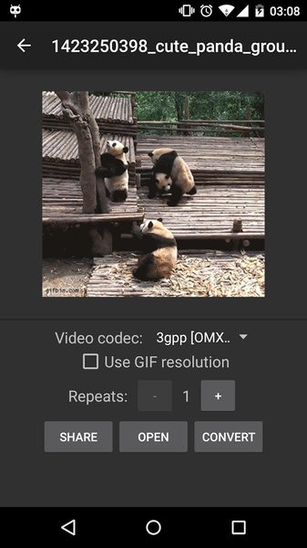 Gif2Video - Preview 4
