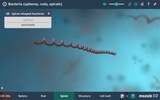 Bacteria interactive educational VR 3D screenshot 3