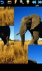 Animal Puzzle screenshot 5