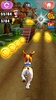 Pet Dog Dash Runner screenshot 2