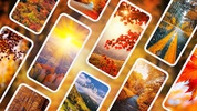 Autumn Wallpapers 4K screenshot 6