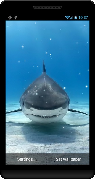 Shark Live Wallpaper - Preview 7