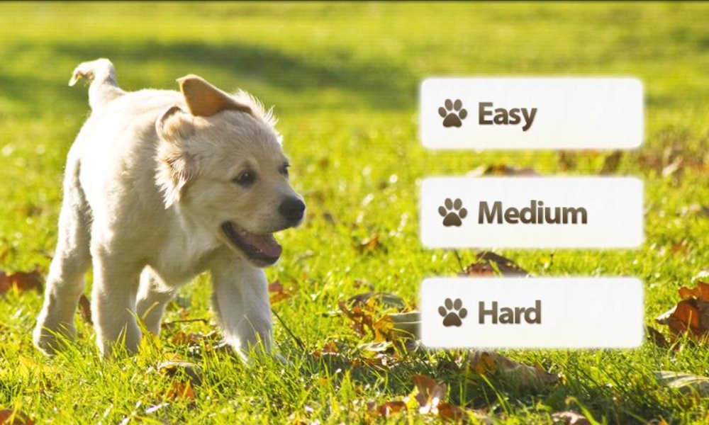 Dogs Memory Free - Preview 6