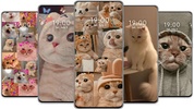 Cute Cat Wallpaper screenshot 5