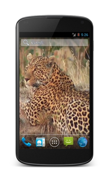 Leopard Video Wallpaper - Preview 3