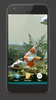 Koi Fish Tank Video Wallpaper screenshot 4