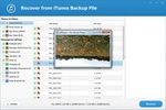 iTunes Backup Extractor Pro screenshot 2