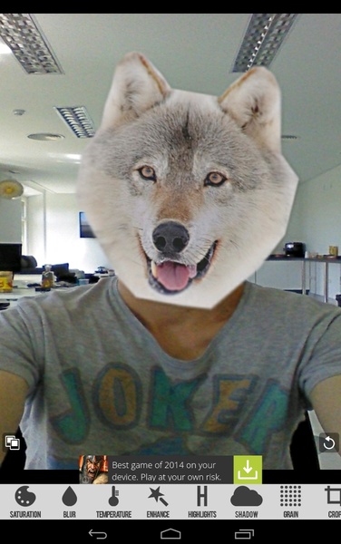 Animal Faces - Preview 3