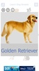 Dog Breeds 🐶 Golden Retriever | Rottweiler screenshot 2