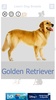 Dog Breeds Golden Retriever | Rottweiler screenshot 3