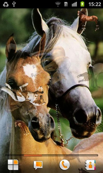 Horse Pictures Live Wallpaper - Preview 3