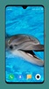 Dolphin Wallpaper HD screenshot 3