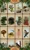 Lenormand screenshot 17