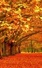 Autumn Landscape Wallpaper screenshot 4