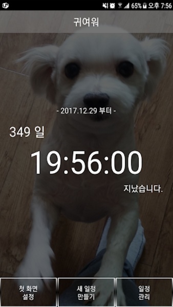 D-Day Counter - Preview 4
