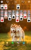 FreeCell Solitaire screenshot 7