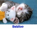 Babiloo screenshot 1