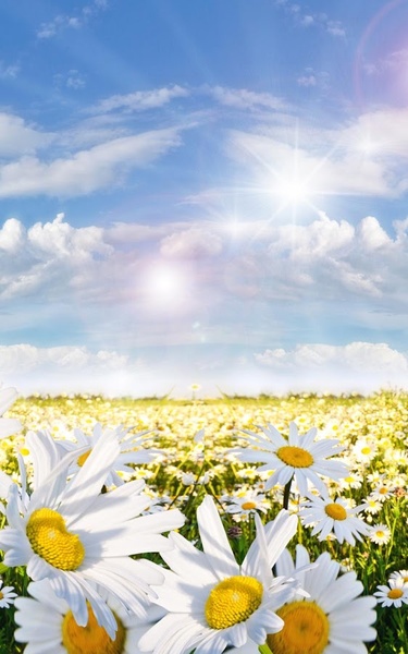 Spring Meadow Live Wallpaper - Preview 4