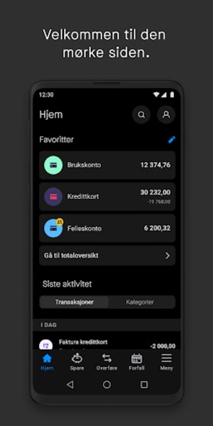 Mobilbank - Preview 2