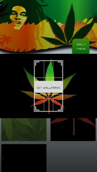 Reggae Rasta Color Theme - Preview 5