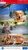 Animals: Ringtones screenshot 2