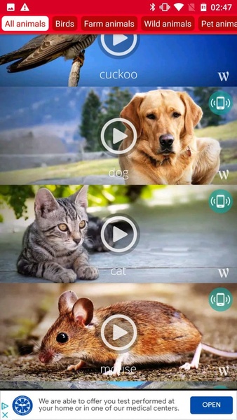 Animals: Ringtones - Preview 2