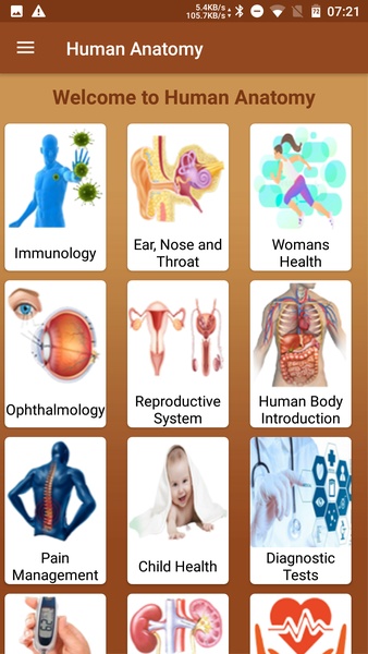 Human Anatomy - Preview 8