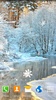Winter Landscapes Wallpaper screenshot 7