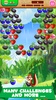 Bubble Fruits screenshot 2