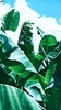 Green Leaf APUS Live Wallpaper screenshot 1