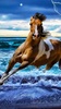 Horses Live Wallpaper screenshot 7