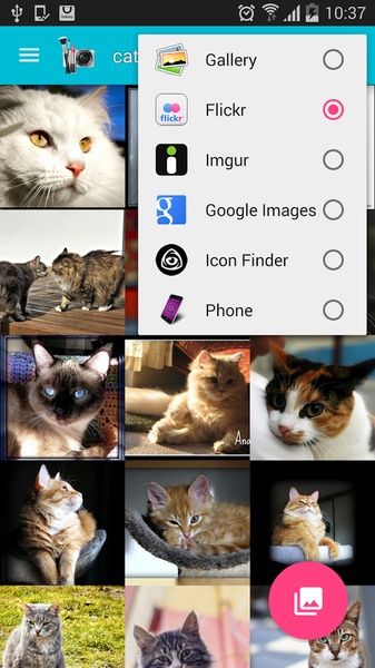 Image Search Activity - Preview 8