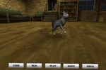 PetCat screenshot 2