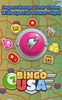 Bingo USA screenshot 13