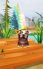 My Talking Dogs screenshot 7