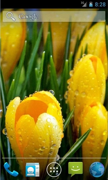 Amazing Spring Flowers - Preview 4
