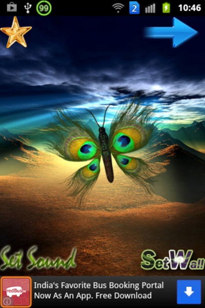 Butterfly Peacock - Preview 9